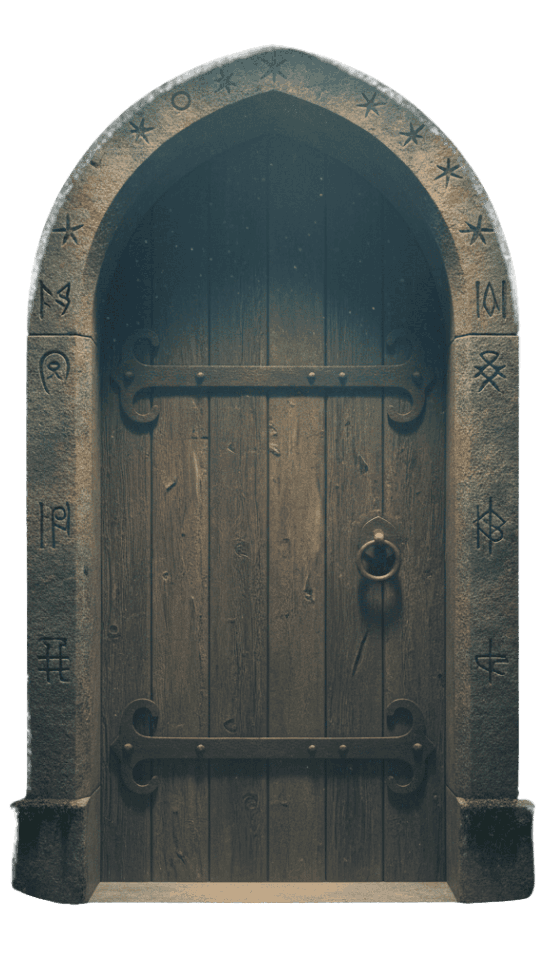 Navigation Door